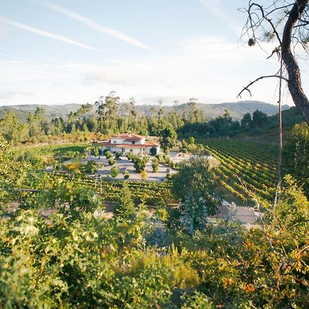 Quinta Da Paixao - Bed & Breakfast Pedraca Εξωτερικό φωτογραφία