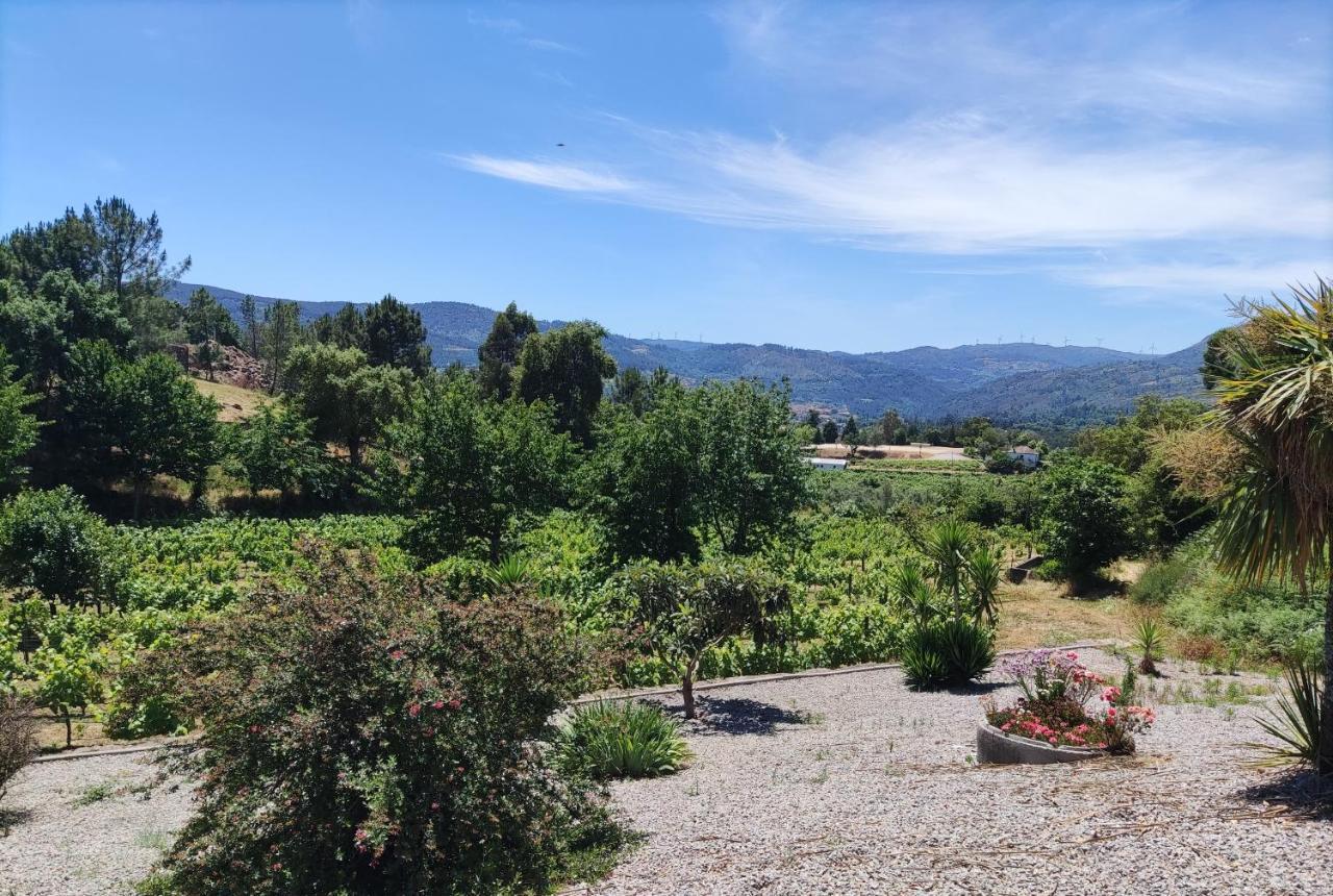 Quinta Da Paixao - Bed & Breakfast Pedraca Εξωτερικό φωτογραφία