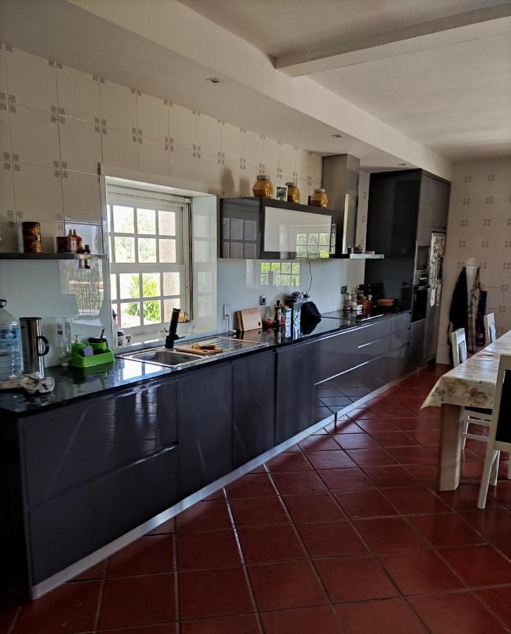 Quinta Da Paixao - Bed & Breakfast Pedraca Εξωτερικό φωτογραφία