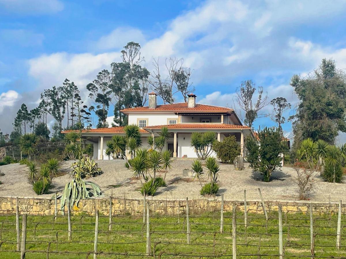 Quinta Da Paixao - Bed & Breakfast Pedraca Εξωτερικό φωτογραφία