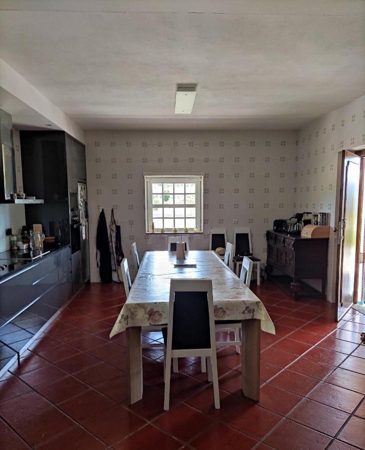 Quinta Da Paixao - Bed & Breakfast Pedraca Εξωτερικό φωτογραφία