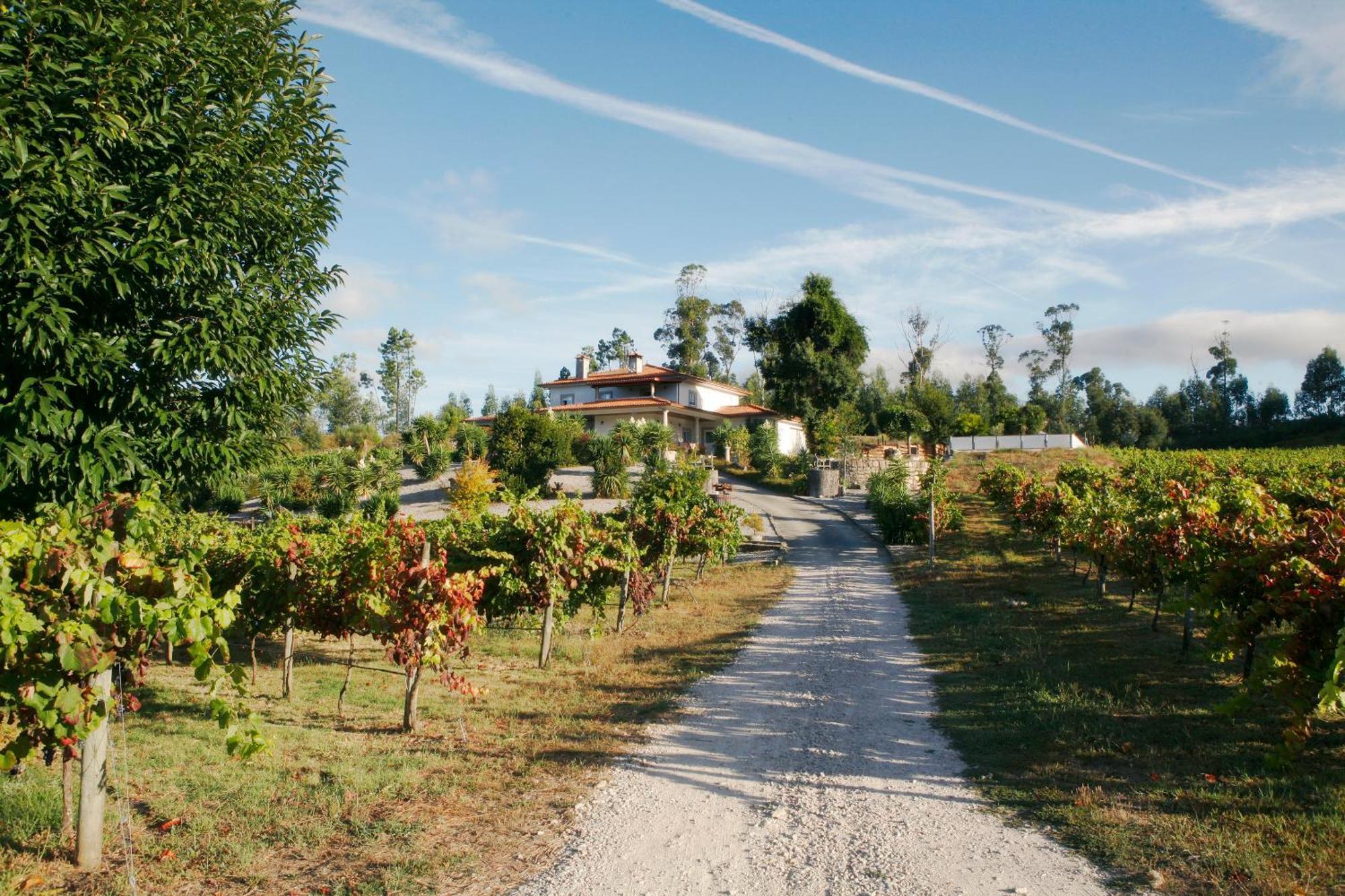 Quinta Da Paixao - Bed & Breakfast Pedraca Εξωτερικό φωτογραφία